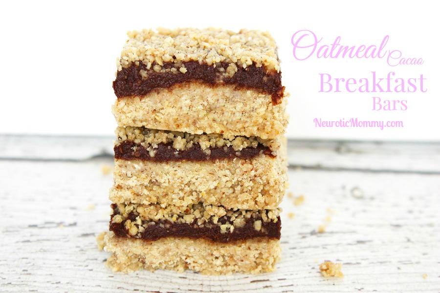 Oatmeal Cacao Breakfast Bars