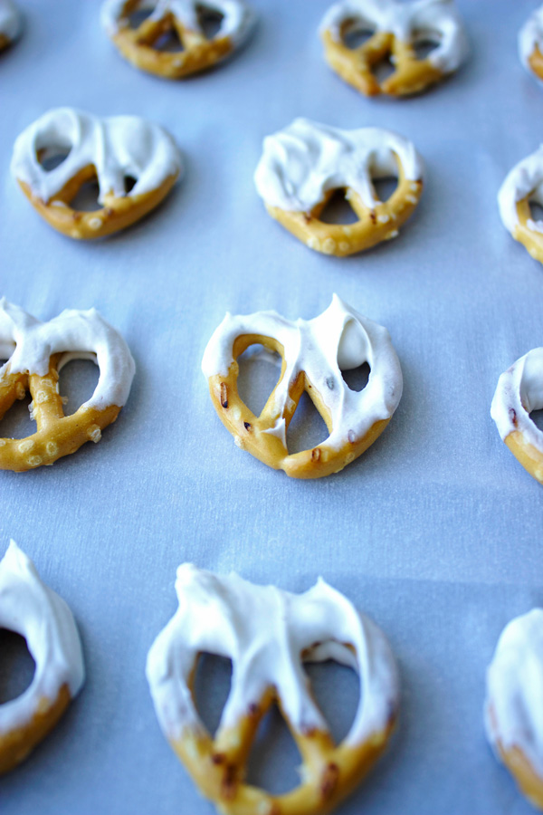 Coconut and Chocolate Covered Heart Pretzels