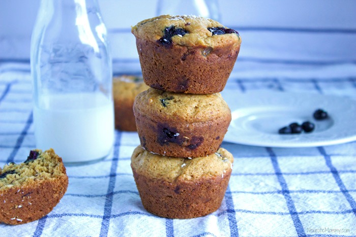 Blueberry Coconut Banana Muffins