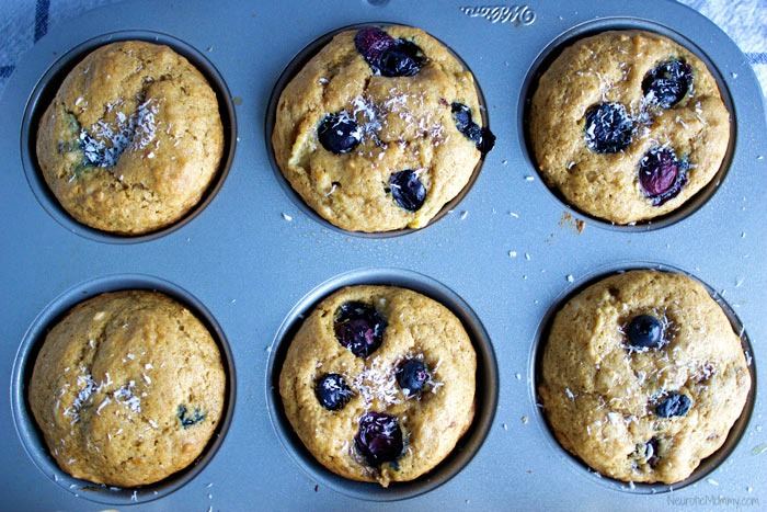 Blueberry Coconut Banana Muffins