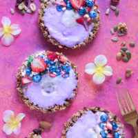 Nut and Seed Fruit Yogurt Tarts [Vegan] - These tarts not only look super pretty, they are filled with vegan blueberry yogurt and surrounded by an array of delicious mixed nuts like walnuts, almonds, sunflower seeds and peanuts. Add some fresh berries on top and enjoy this sweet treat as breakfast, snack or dessert. NeuroticMommy.com #healthy #vegan #easter #tarts