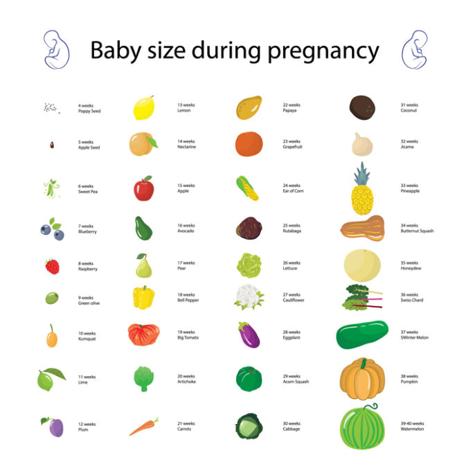 30 Weeks Baby Size Chart