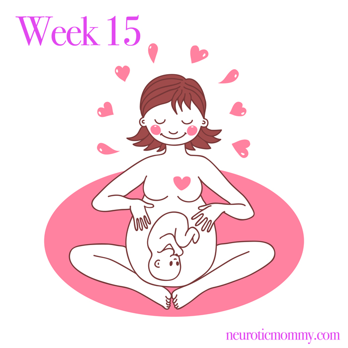 Pregnancy Week 15 - NeuroticMommy pregnancy week by week. NeuroticMommy.com #vegan #moms #motherhood 