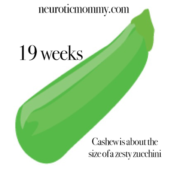 Pregnancy Weeks 16-19 - Discoveries, symptoms, doctor visits, ultrasounds, food cravings and more. NeuroticMommy second trimester. NeuroticMommy.com 