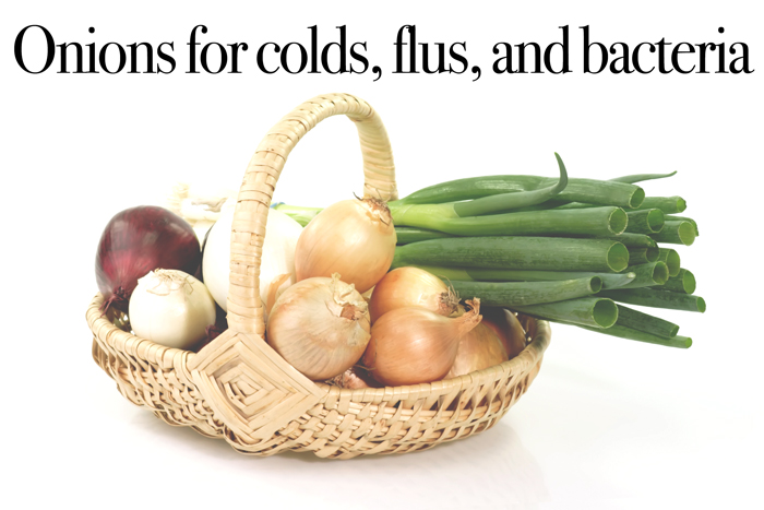 How to Use Onions Against Colds Flus and Bacteria - The many healing benefits of onions and how to use them to prevent and help sickness. NeuroticMommy.com #naturalrememdies