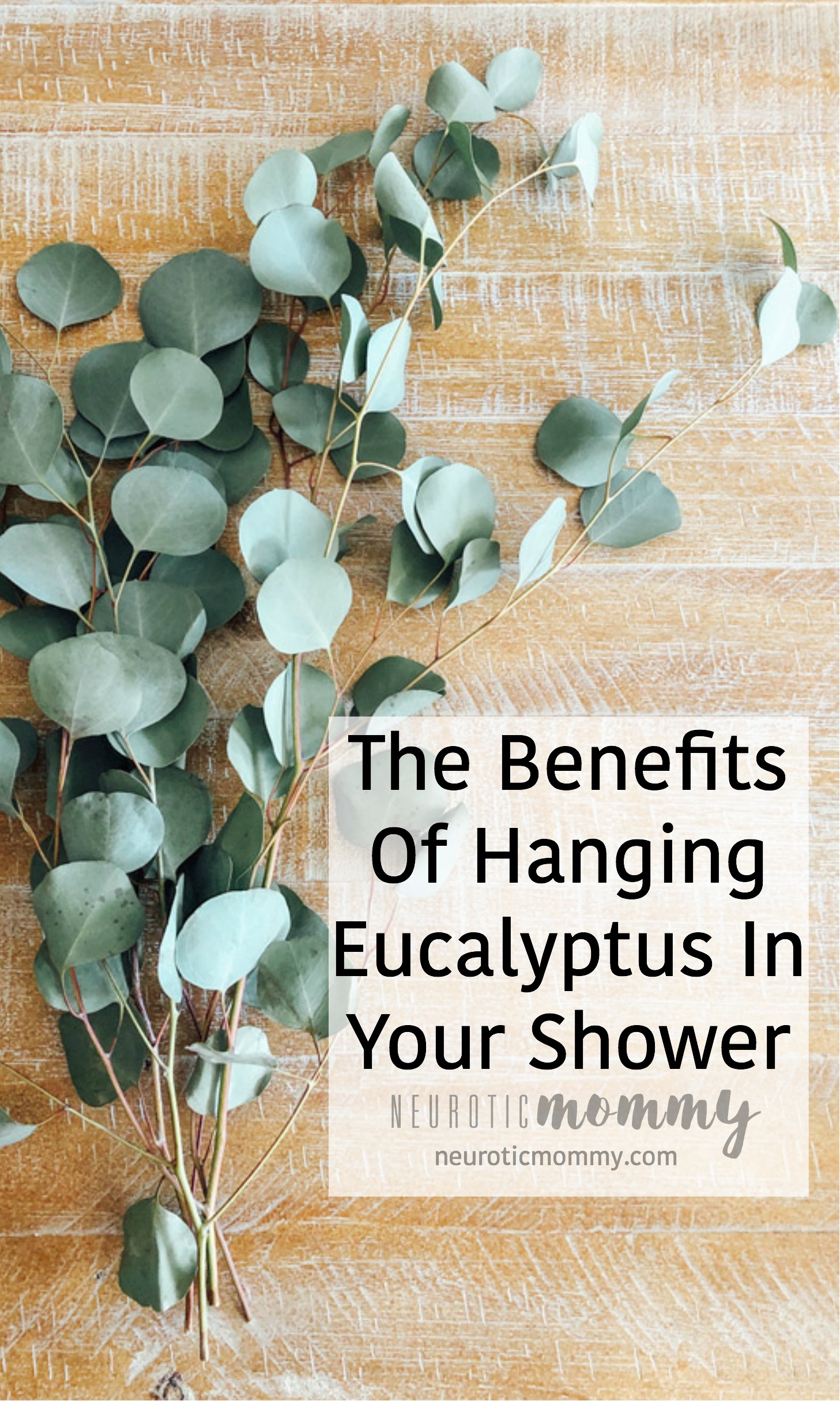 How To Make The Most Out of Eucalyptus