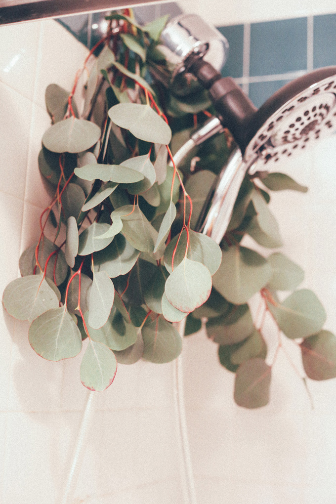 Hanging Eucalyptus in your Shower looks so pretty, spa like, but not only that, it provides a sense of peace and tranquility along with other healing properties. Think anti-stress, energizing and decongesting benefits. NeuroticMommy.com #wellness #healing #eucalyptus