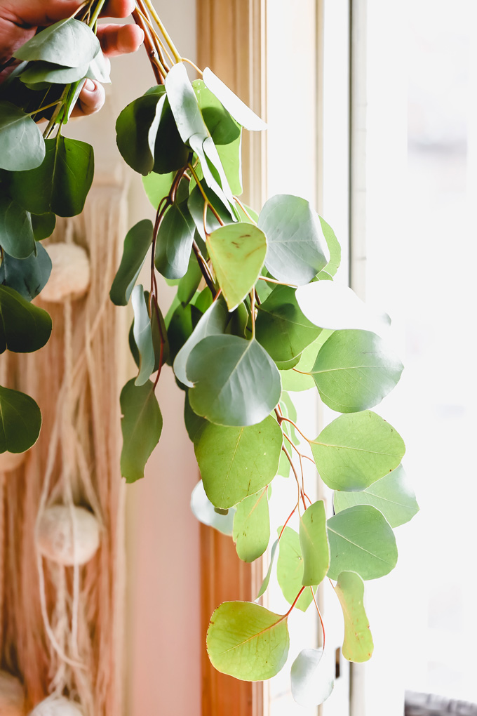 Hanging Eucalyptus in your Shower looks so pretty, spa like, but not only that, it provides a sense of peace and tranquility along with other healing properties. Think anti-stress, energizing and decongesting benefits. NeuroticMommy.com #wellness #healing #eucalyptus