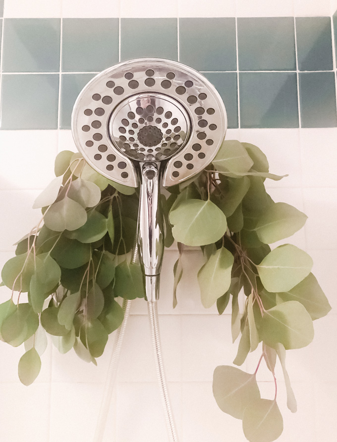 Hanging Eucalyptus in your Shower looks so pretty, spa like, but not only that, it provides a sense of peace and tranquility along with other healing properties. Think anti-stress, energizing and decongesting benefits. NeuroticMommy.com #wellness #healing #eucalyptus